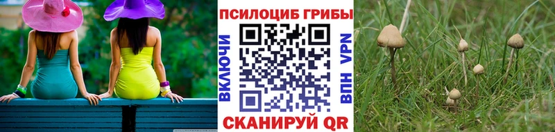Галлюциногенные грибы мухоморы  Зеленогорск 