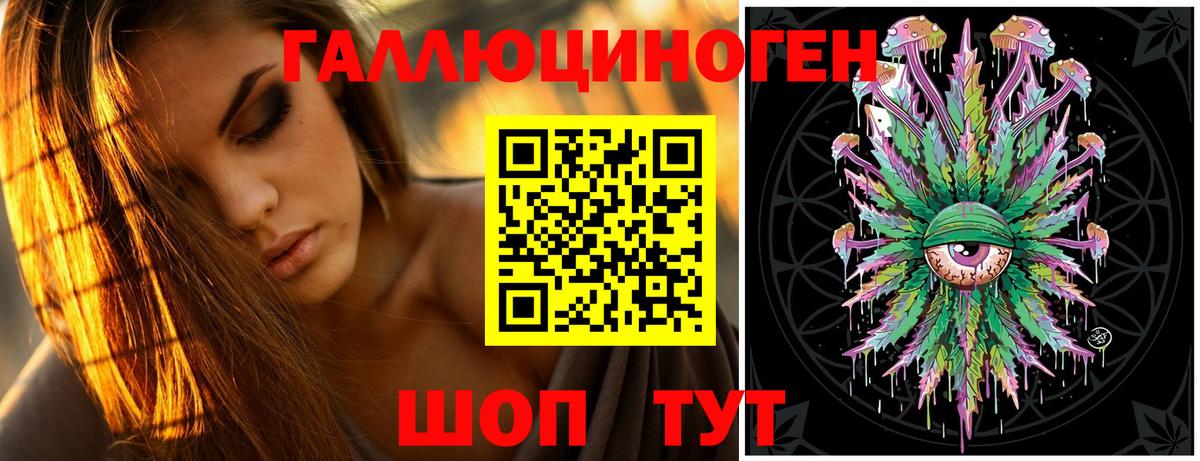 Галлюциногенные грибы прущие грибы Зеленогорск